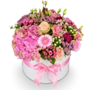 Box růžových květin